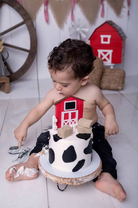 fura bolo, smash the cake, ensaio com bolo'