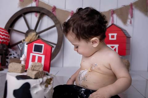 farra gostosa Ensaio Brasilia acompanhamento trimestral, ensaio 12 meses, smash the cake , fazendinha'