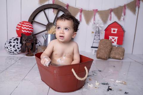 hora do banho na fazendinha, smash'