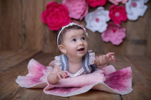 Acho que vi um gatinho, acompanhamento trimenstral, primeiro ano Brasilia DF'