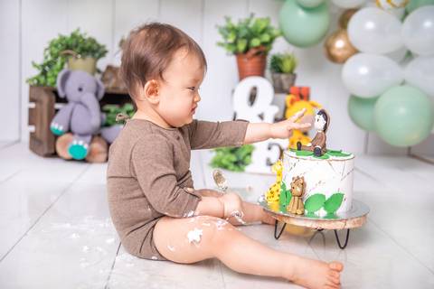 ensaio com bolo smash the cake, safari'