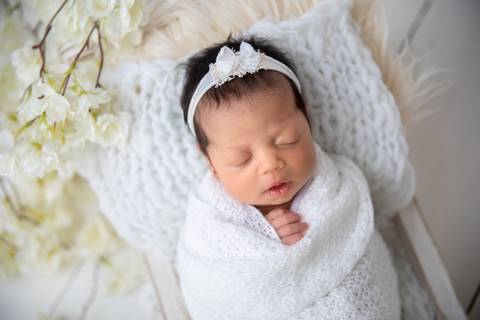 Menina Newborn Flores, Brasília DF'