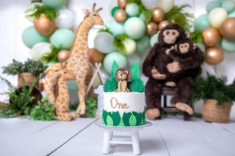 smash the cake safari'