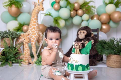 cake smash tema safari, farra com o bolo no estúdio em águas claras'