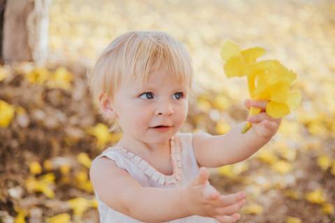 Ensaio  menina 2 anos nos ipês amarelos'