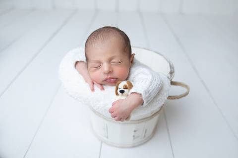 Love Prop, Bebe segurando cachorrinho, ensaio de recém-nascido Gabi Aine'