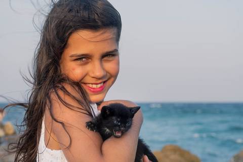 ensaios com pet na florida'