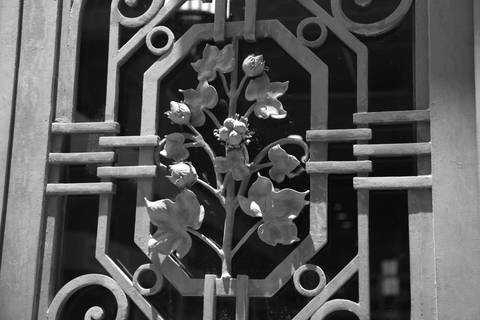 FotoRuaBoaVista-sp-PasseioFotograficoSãoPaulo-CursoFotografiaSãoPaulo-FotoClubismo'