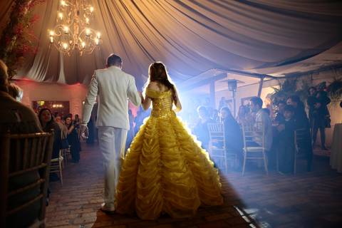 fotografias Aniversário 15 anos da Fernanda D'avila no buffet grande ville'