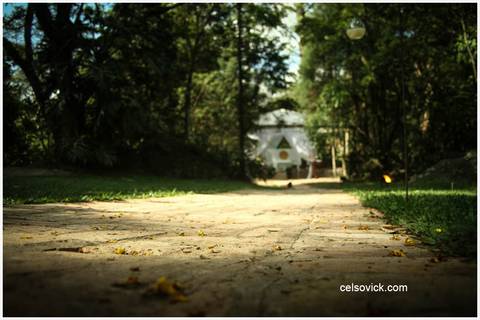 Celso Vick fotografo Casamento da Vanessa e Célio| Realizado no Espaço Vila Real - cidade de Embu das Artes | Fotos Vinícius Nakashima | Estúdio Celso Vick | Fotografia espontânea @celsovick'