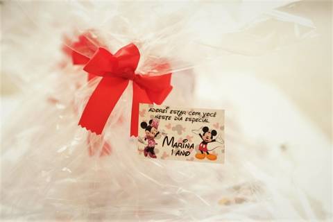 Foto Aniversário Infantil São Paulo ABC-Santo André-São Caetano do Sul-São Bernardo do Campo_Fotógrafo de Aniversario-SP.'