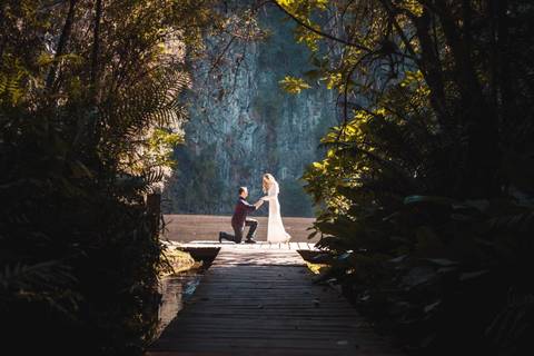 Foto de capa do ensaio Pré Wedding da Luiza e Denis realizado no Jardim Botânico de Curitiba - Paraná'