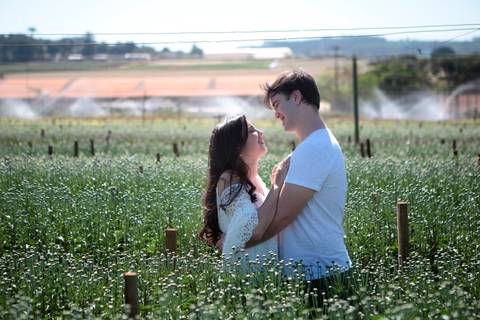 fotos de casal antes do casamento realizado na cidade de Holambra, São Paulo.'