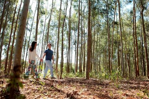 de casal antes do casamento realizado na cidade de Holambra, São Paulo.'
