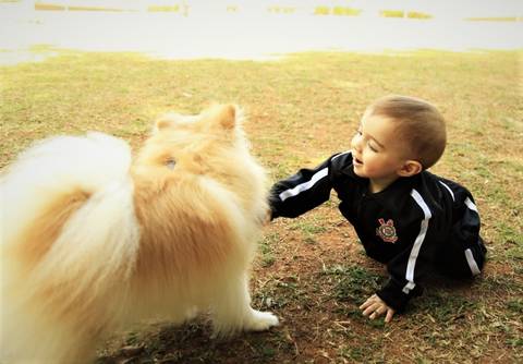 Ensaio Foto de familia no parque da Independência - Ipiranga São Paulo'