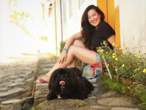 Pet Fotos ensaio em Parques no ABC - São Caetano - Santo Andre FotoShihTzu-Xitsu-FotografiaDog-FotoPet-EnsaioFotograficoPet-FotosAbc-SantoAndre-SaoBernardo-Sp_SãoPaulo-FotografoPet-Abc'