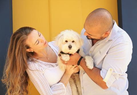 Pet Fotos ensaio e família em Parques no ABC - São Caetano - Santo Andre-FotoShihTzu-Xitsu-FotografiaDog-FotoPet-EnsaioFotograficoPet-FotosAbc-SantoAndre-SaoBernardo-Sp_SãoPaulo-FotografoPet-Abc '