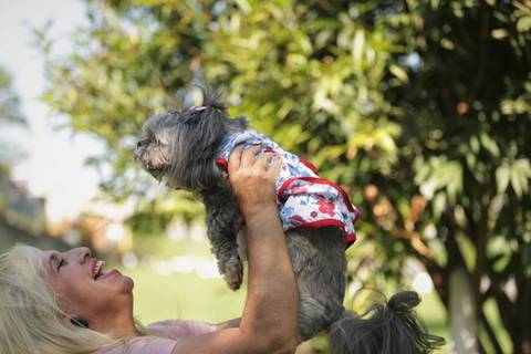 FotoShihTzu-Xitsu-FotografiaDog-FotoPet-EnsaioFotograficoPet-FotosAbc-SantoAndre-SaoBernardo-Sp_SãoPaulo-FotografoPet-Abc'