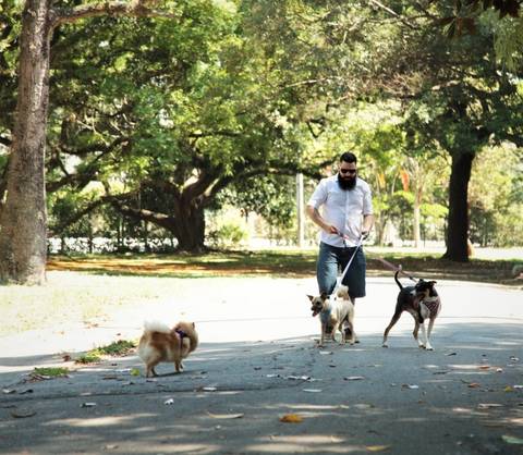 EnsaioPet-SP-EnsaioPetABC-Pet-Ensaio-Foto_Parques_SP-Fotógrafo-Pets-SãoPaulo-ABC-EnsaioFotograficoComCachorro-FotosPet-EnsaioFamiliaPets'