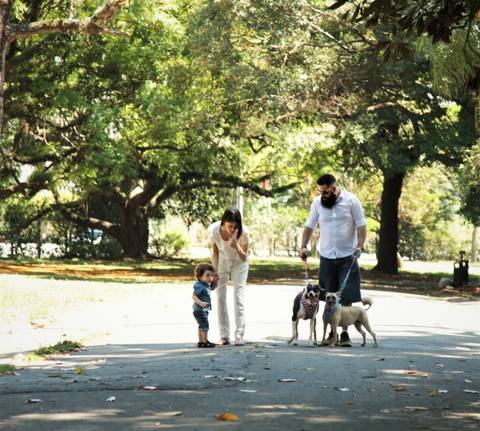 EnsaioPet-SP-EnsaioPetABC-Pet-Ensaio-Foto_Parques_SP-Fotógrafo-Pets-SãoPaulo-ABC-EnsaioFotograficoComCachorro-FotosPet-EnsaioFamiliaPets'