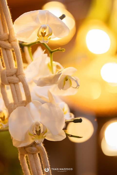 casamento, noiva, chacara laços eternos, valinhos, making of, cerimonia'