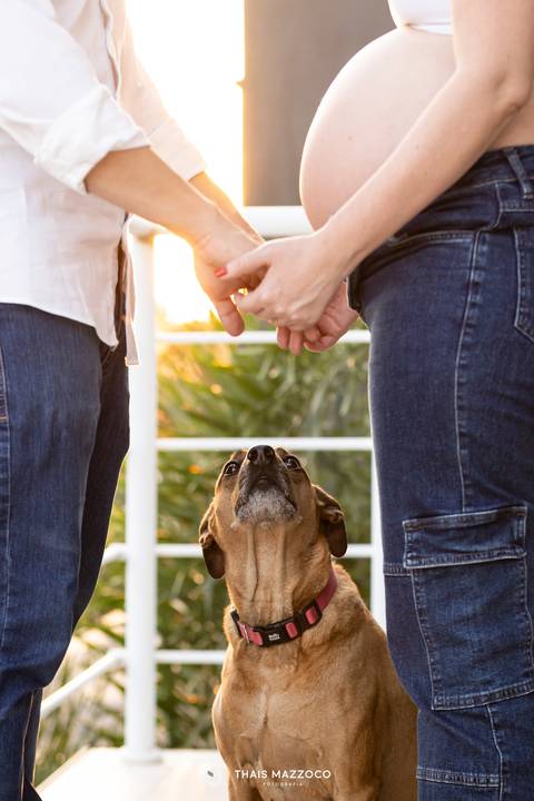 ensaio gestante em casa com pet, ao ar livre, externa'