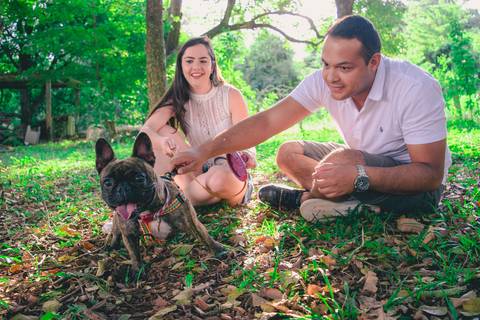 Ensaio Pet da Chandelle - Henrique Drobnievski'