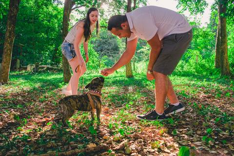 Ensaio Pet da Chandelle - Henrique Drobnievski'