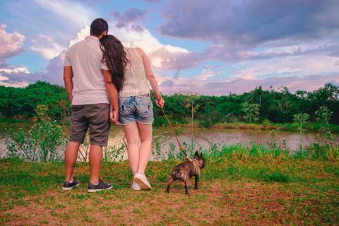 Ensaio Pet da Chandelle - Henrique Drobnievski'