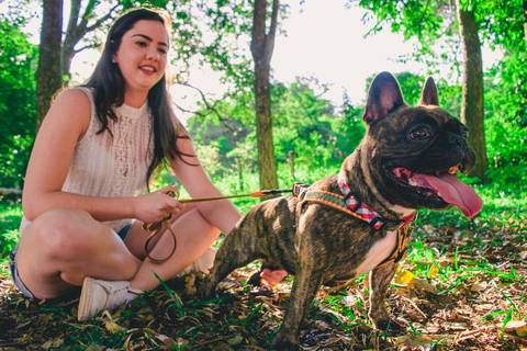 Ensaio Pet da Chandelle - Henrique Drobnievski'