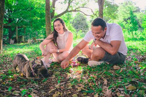 Ensaio Pet da Chandelle - Henrique Drobnievski'