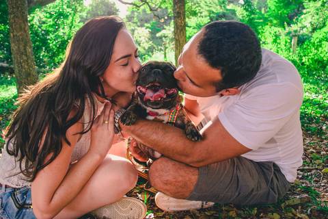 Ensaio Pet da Chandelle - Henrique Drobnievski'