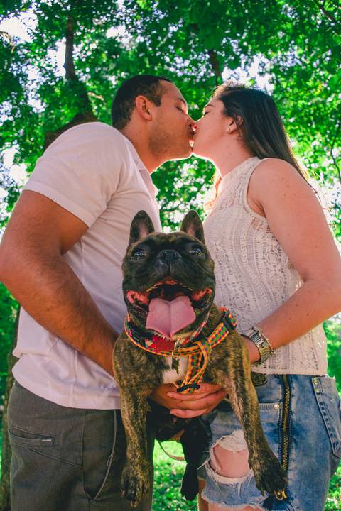 Ensaio Pet da Chandelle - Henrique Drobnievski'