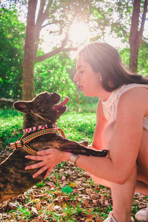 Ensaio Pet da Chandelle - Henrique Drobnievski'