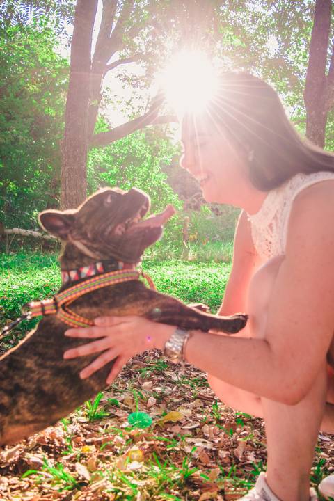 Ensaio Pet da Chandelle - Henrique Drobnievski'