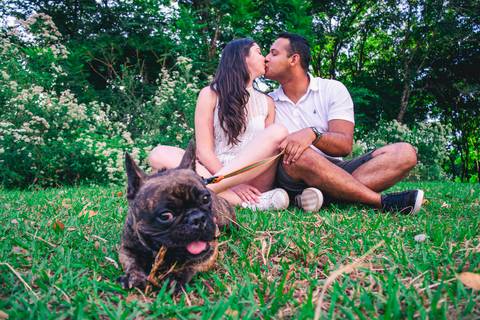 Ensaio Pet da Chandelle - Henrique Drobnievski'