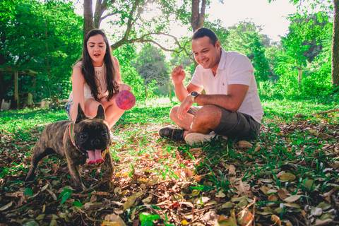 Ensaio Pet da Chandelle - Henrique Drobnievski'