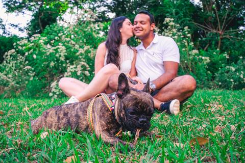 Ensaio Pet da Chandelle - Henrique Drobnievski'