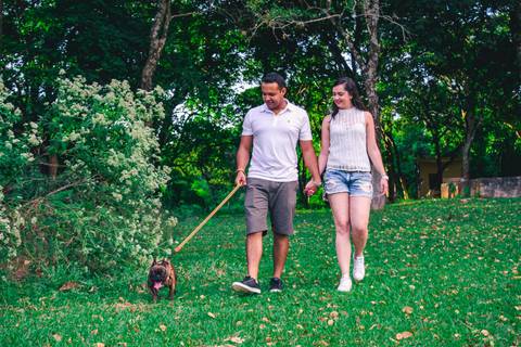 Ensaio Pet da Chandelle - Henrique Drobnievski'