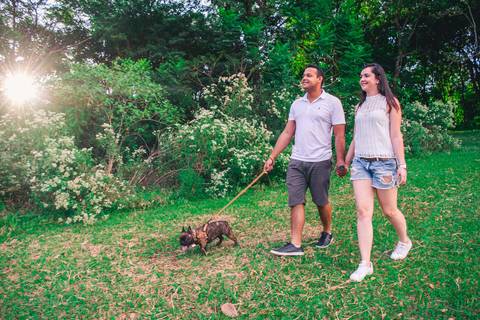 Ensaio Pet da Chandelle - Henrique Drobnievski'