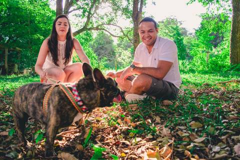 Ensaio Pet da Chandelle - Henrique Drobnievski'