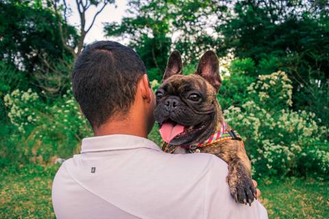 Ensaio Pet da Chandelle - Henrique Drobnievski'