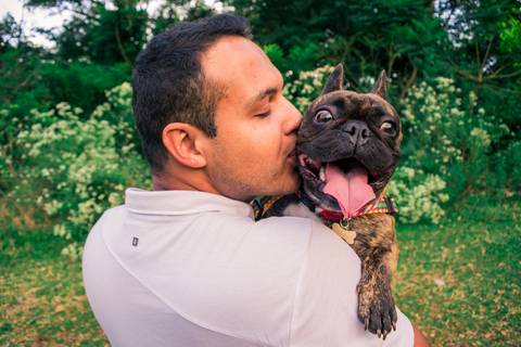 Ensaio Pet da Chandelle - Henrique Drobnievski'