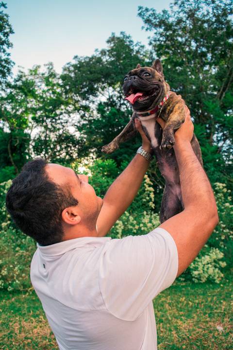 Ensaio Pet da Chandelle - Henrique Drobnievski'