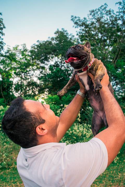 Ensaio Pet da Chandelle - Henrique Drobnievski'