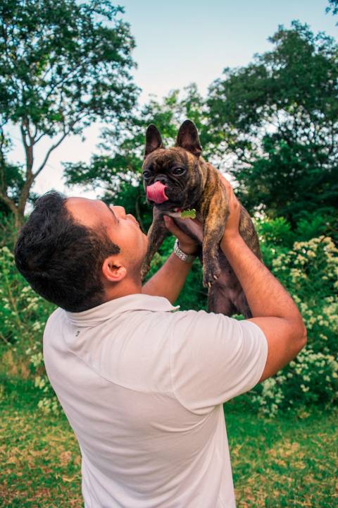 Ensaio Pet da Chandelle - Henrique Drobnievski'