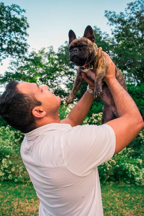 Ensaio Pet da Chandelle - Henrique Drobnievski'