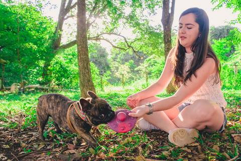 Ensaio Pet da Chandelle - Henrique Drobnievski'