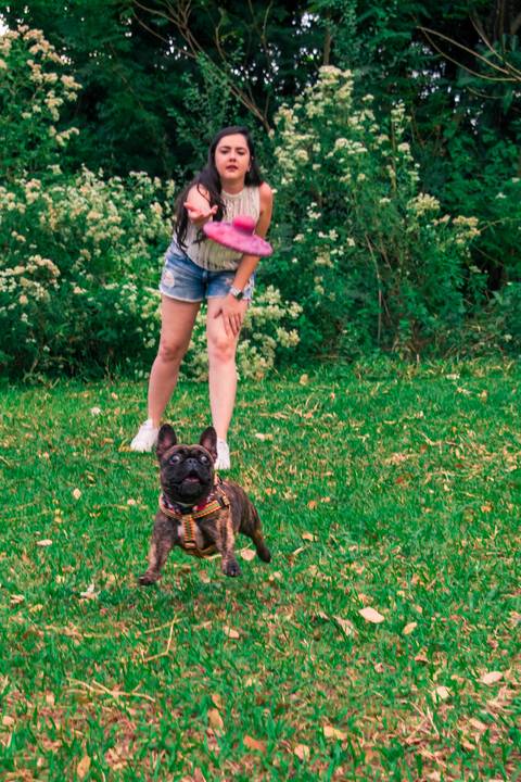 Ensaio Pet da Chandelle - Henrique Drobnievski'