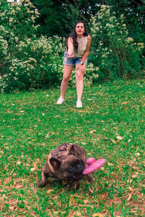 Ensaio Pet da Chandelle - Henrique Drobnievski'